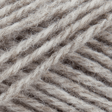 Load image into Gallery viewer, Patons Wool Blend Aaron 100g
