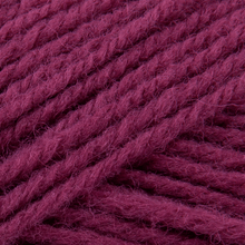 Load image into Gallery viewer, Patons Wool Blend Aaron 100g
